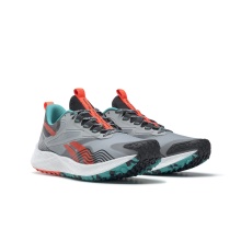 Reebok Buty biegowe Floatride Energy 4 Adventure szare męskie